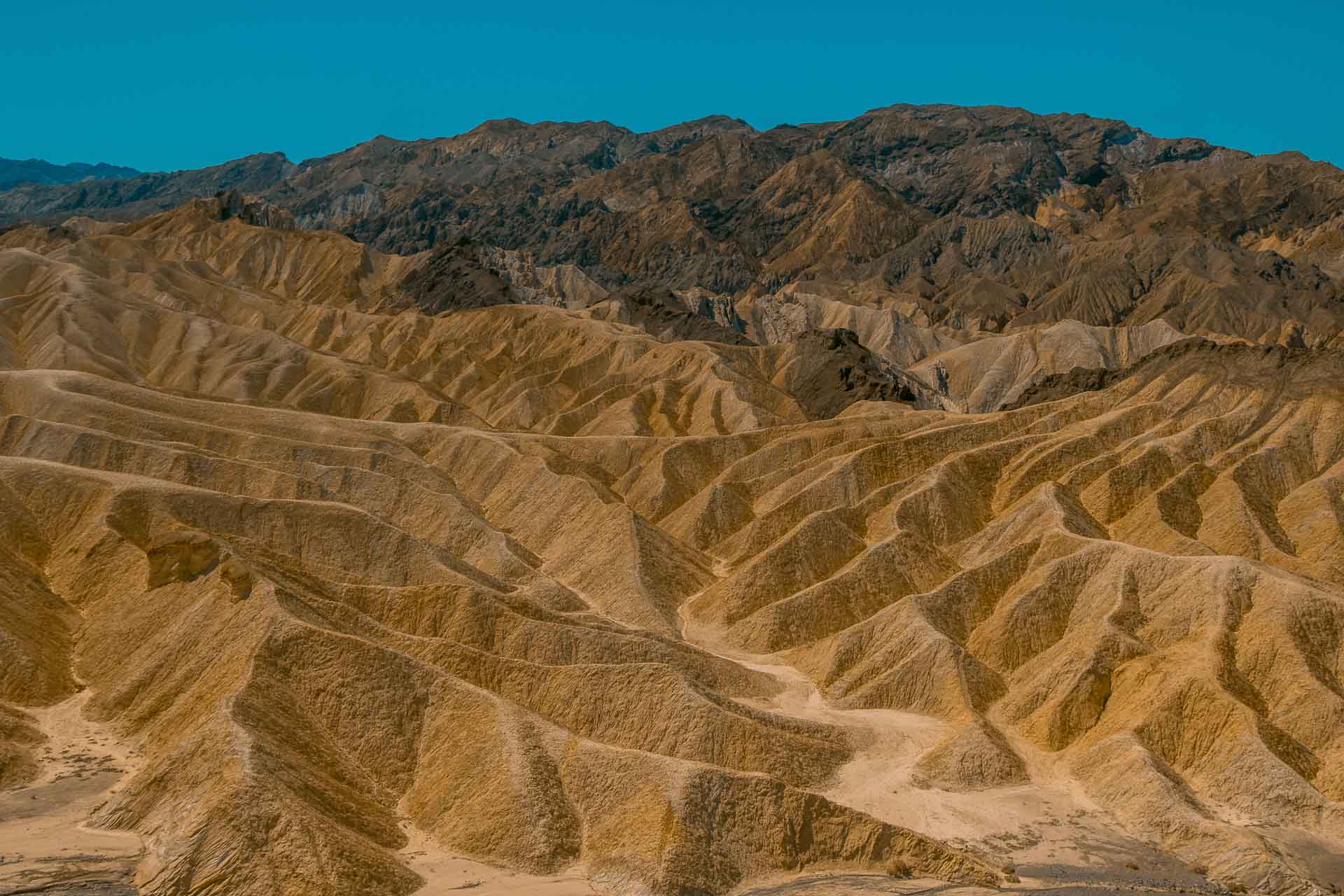 Death Valley canyon — layered sedimentary walls carved by millennia of flash floods
